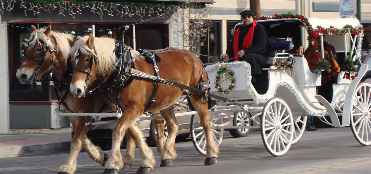 Horsedrawn carriage rides is a feature of community celebration throughout the region and the makings of joyous holiday memories. The Hawley Winterfest continues through December 12.